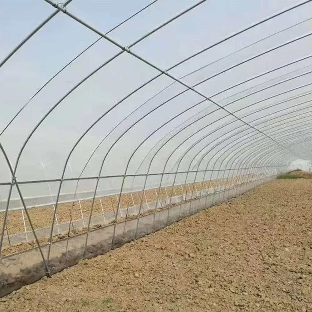 Long interior of a poly tunnel greenhouse with empty soil beds ready for planting