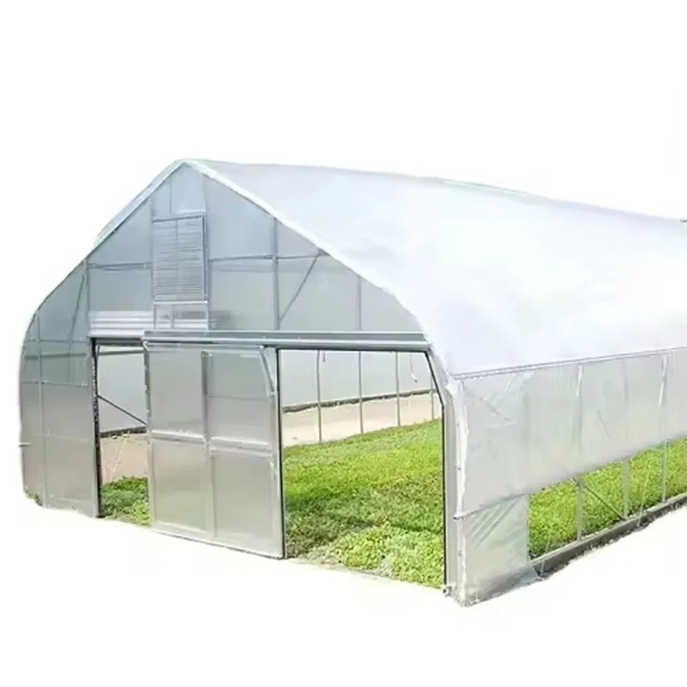 Agricultural Poly Tunnel Greenhouse with PE Film Cover for Tomato Crops