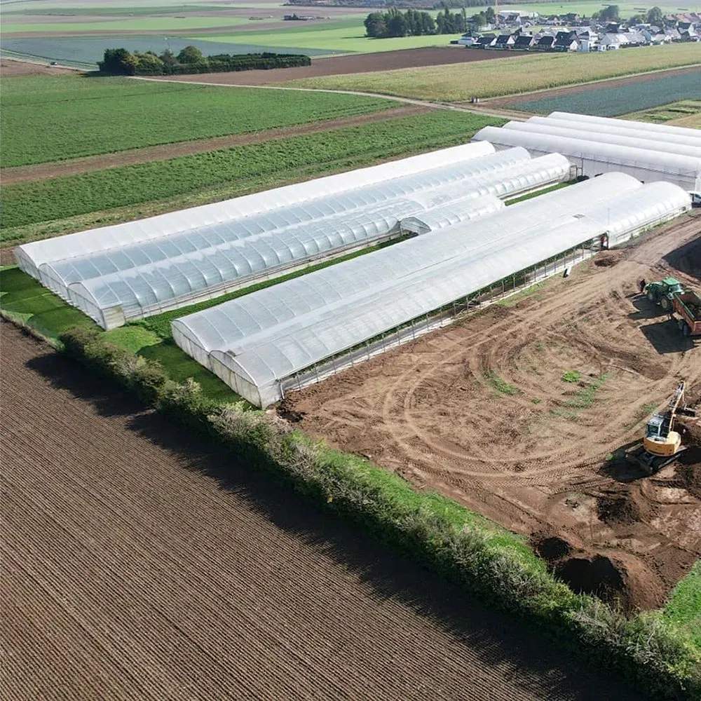 Aerial view of film greenhouses laid out across a vegetable farm