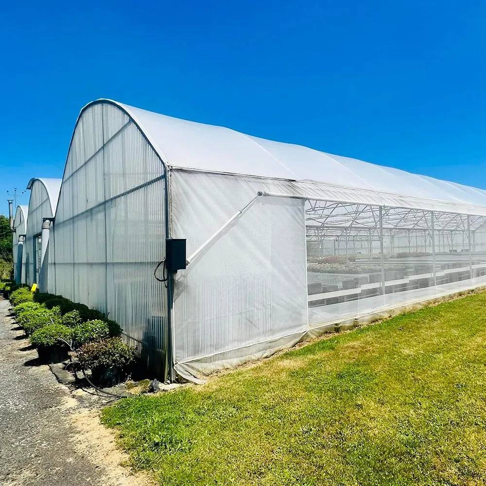 Film greenhouse standing in an open field under a clear sky