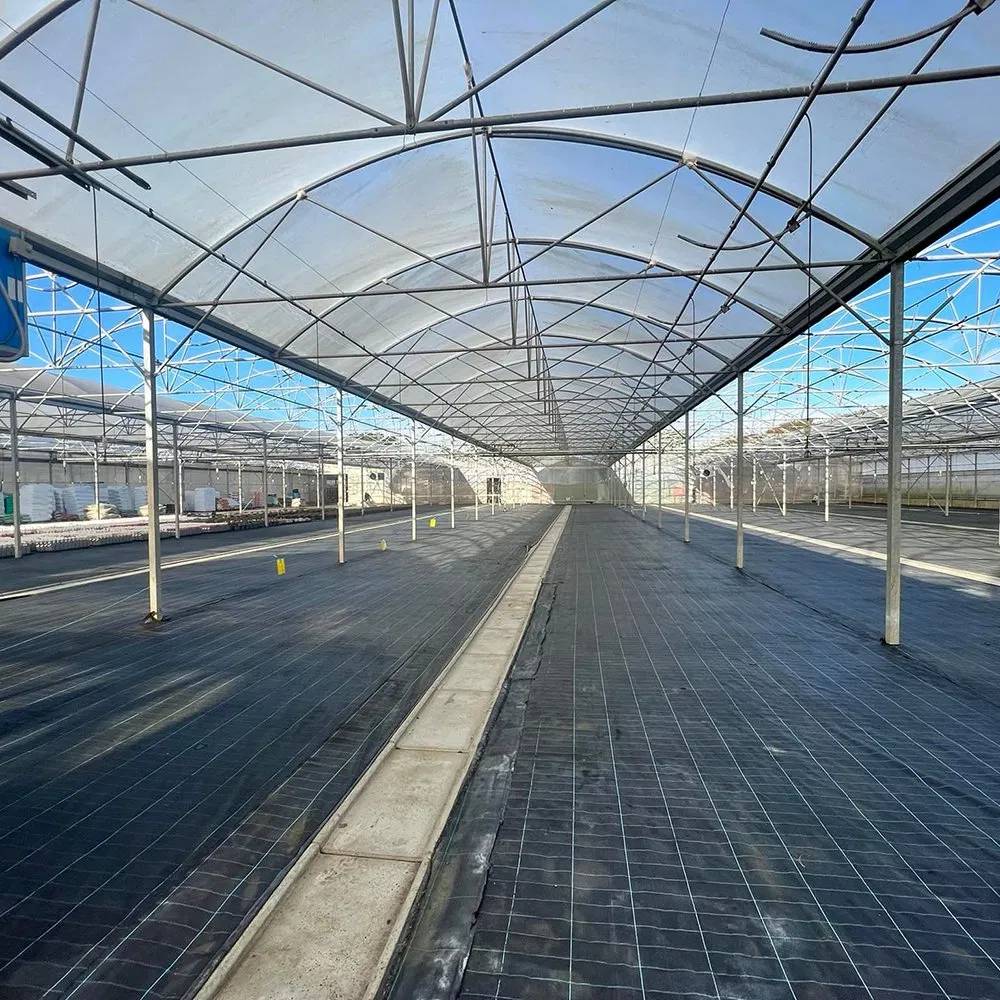 Empty aisle running the length of a multi span greenhouse