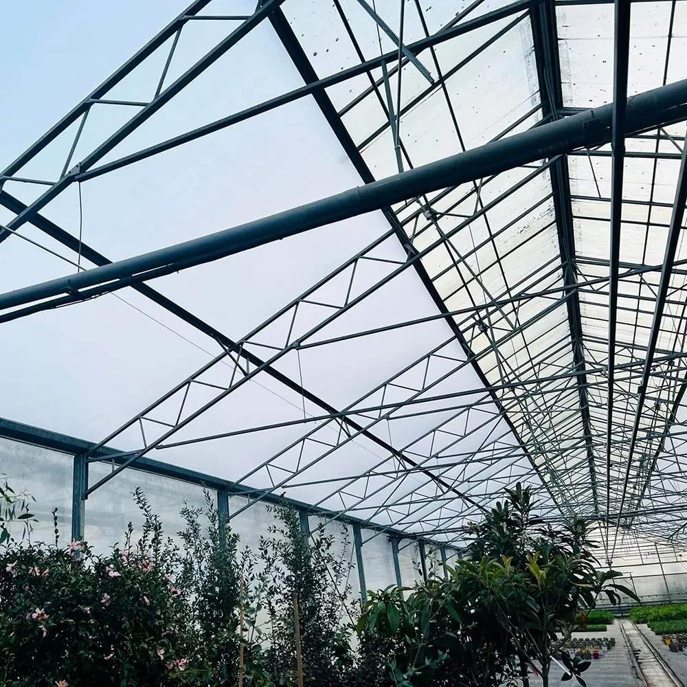 Roof frame and glazing bars seen from inside a greenhouse
