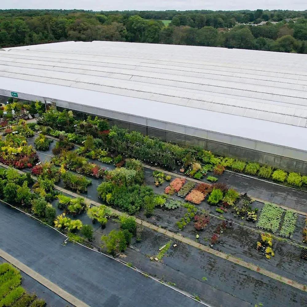 Sunlight Greenhouse with High Light Transmittance for Vegetable Crops