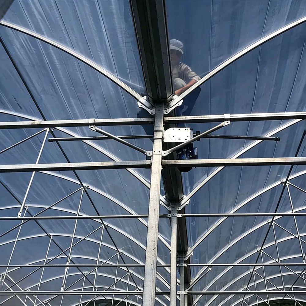 Seedling beds and benches laid out inside a single span film greenhouse