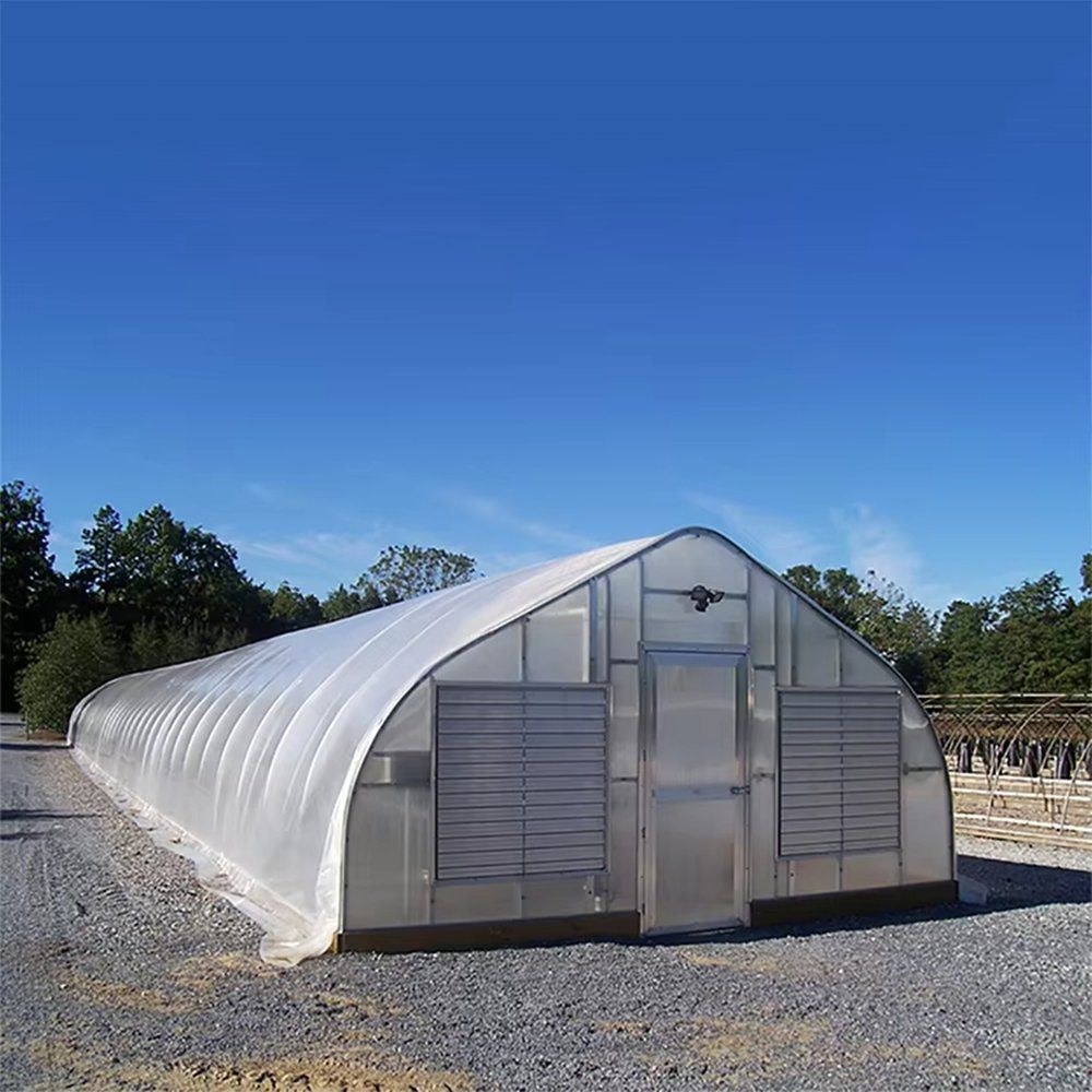 Commercial tunnel greenhouse with film cover under a clear sky