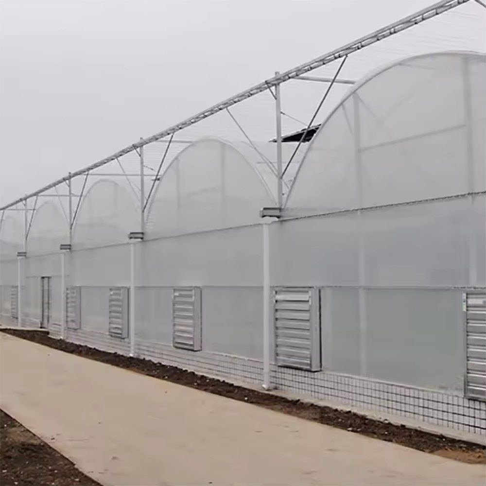 Side wall and roll-up vent of a commercial tunnel greenhouse