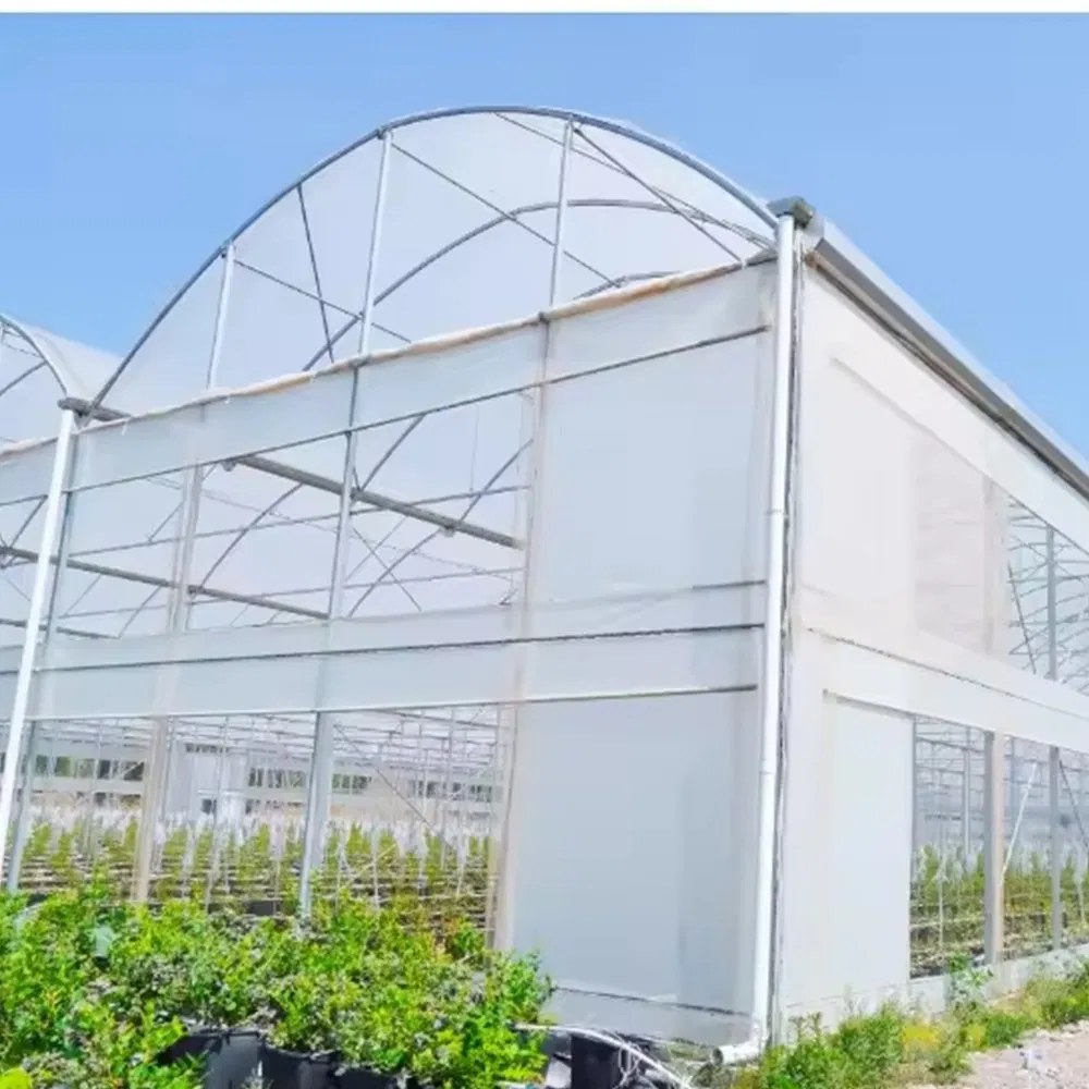 Close view of a film greenhouse wall with roll up side vent