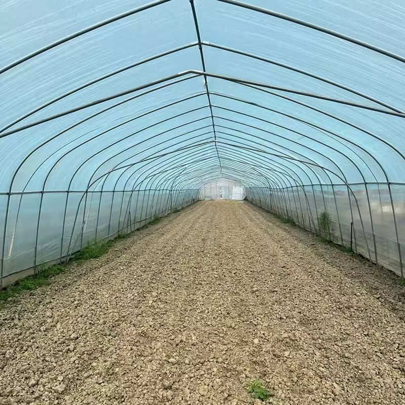 Empty soil beds inside a tunnel greenhouse with the frame and film above them