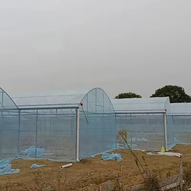Single Span Film Tunnel Greenhouse with Side and Roof Vents for Growers