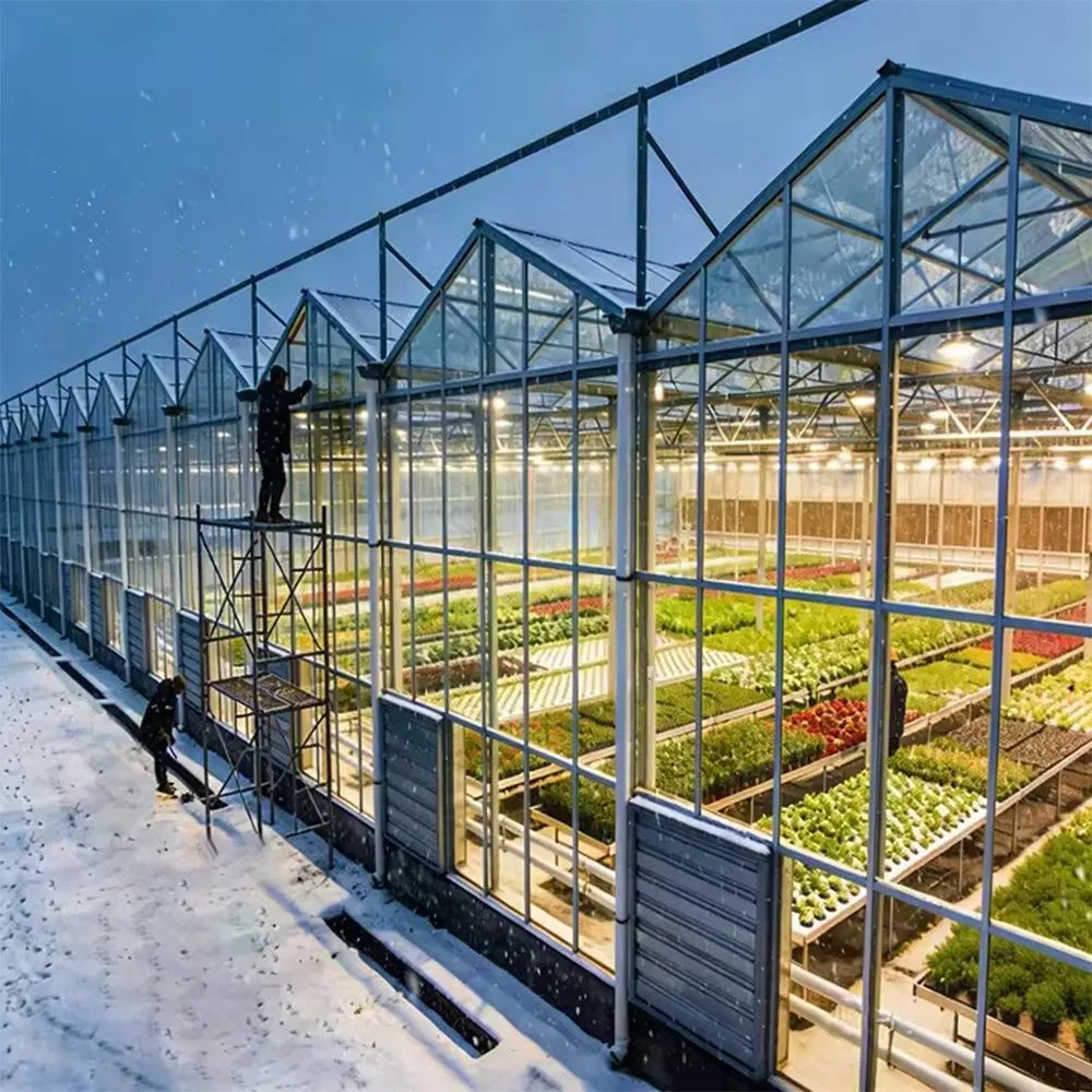 Multi span glass greenhouse in snow with a worker on the frame