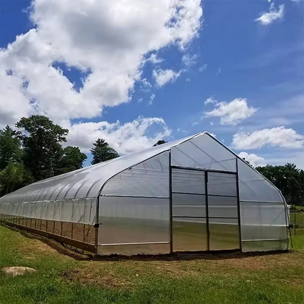 Single span film greenhouse with double doors at the gable end