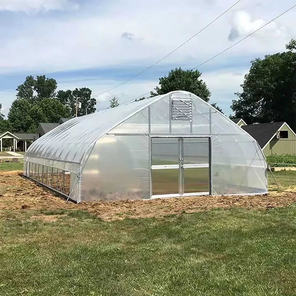 Single Span Film Greenhouse with Thermal Curtains for Year Round Crops