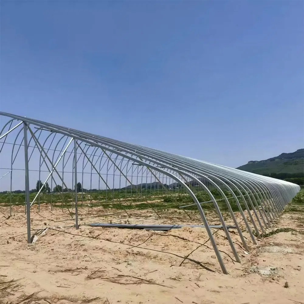 Bare galvanized arch frame of a tunnel greenhouse standing under open sky