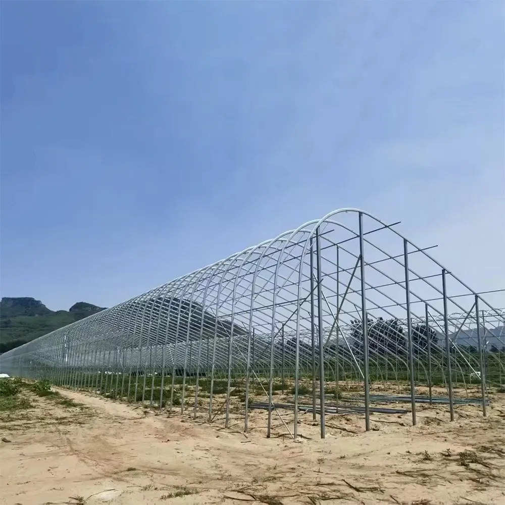 Single arch tunnel greenhouse standing on a field with hills behind it