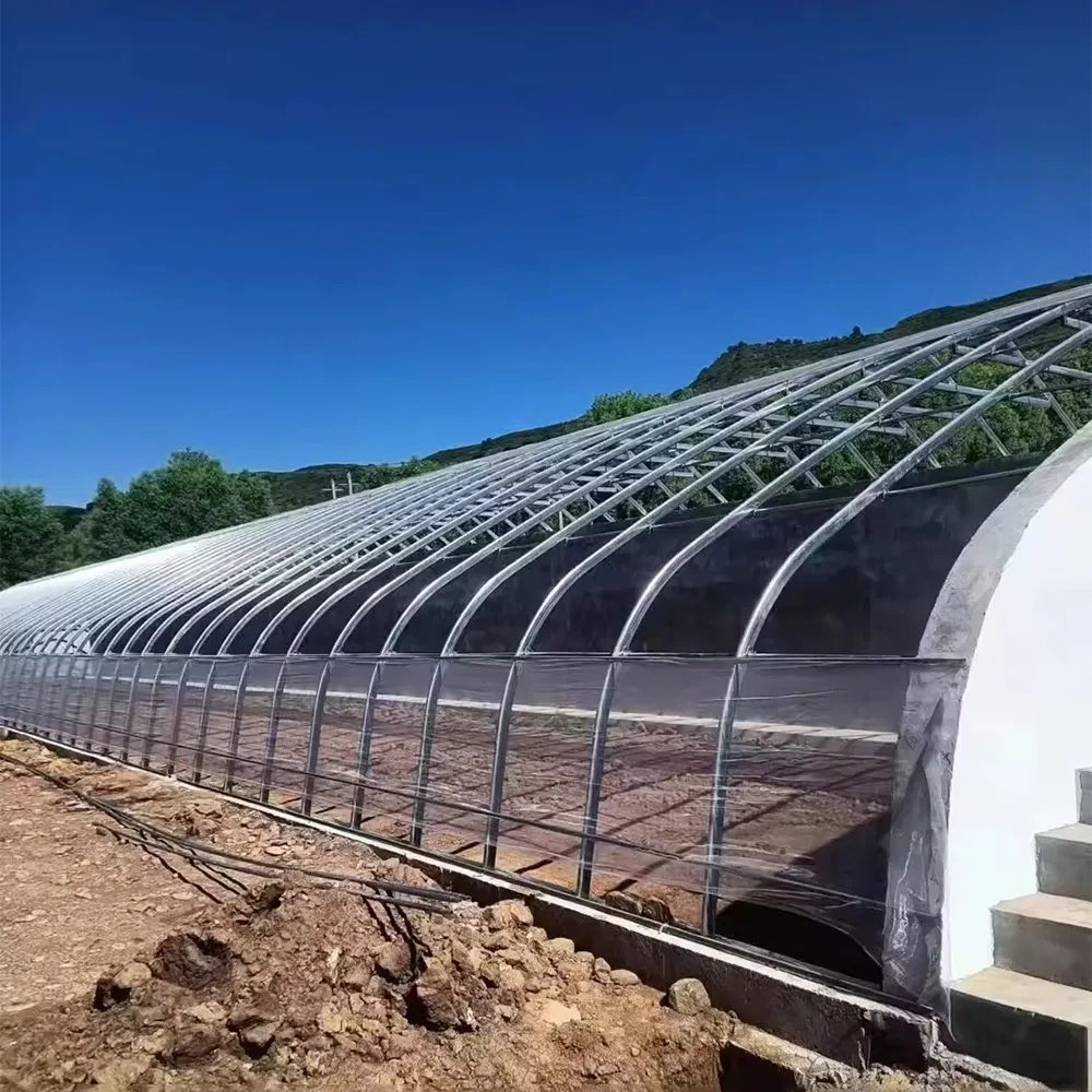 Single Arch Galvanized Tunnel Greenhouse for Vegetable and Flower Crops