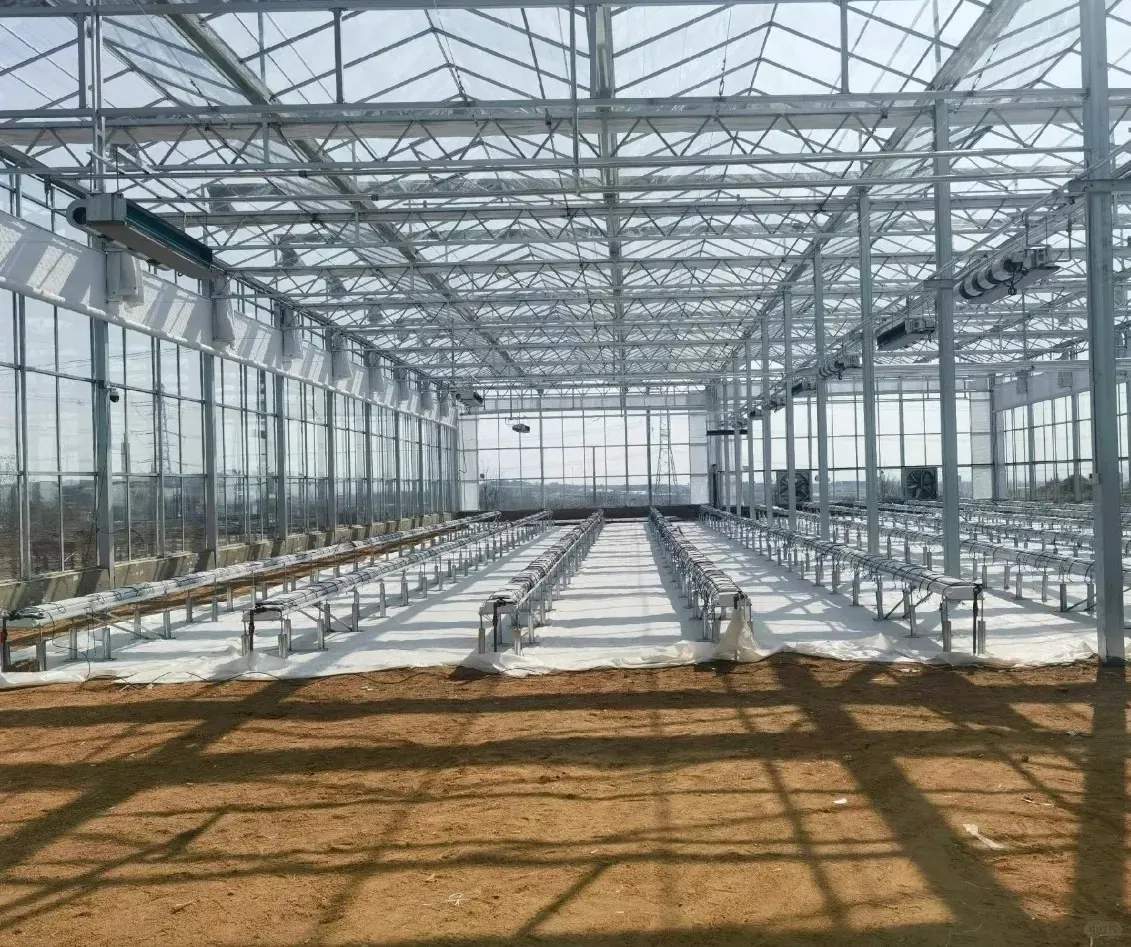 Empty multi span glass greenhouse interior with rails ready for gutters