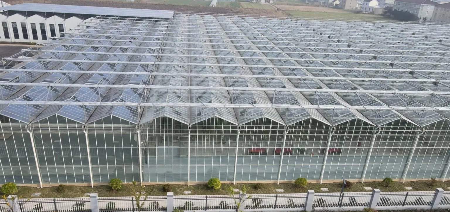 Tempered Glass Agricultural Greenhouse with Automatic Control System