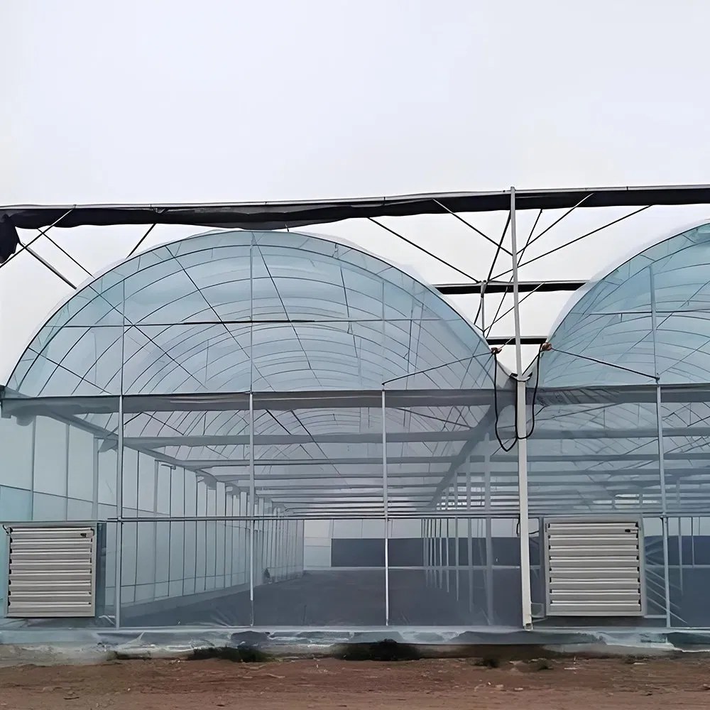 Cooling pad and fan wall inside a large film greenhouse