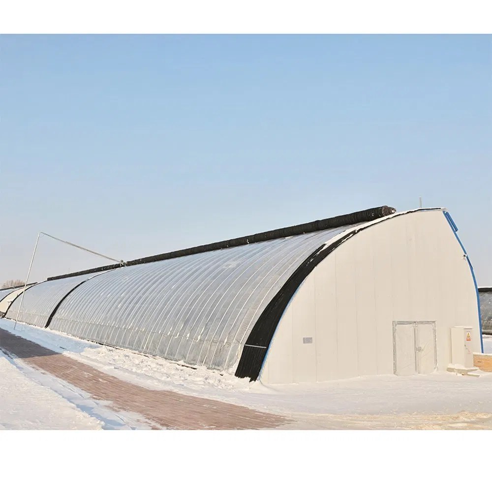 Plastic Film Tunnel Greenhouse Kit for Commercial Vegetable Farms