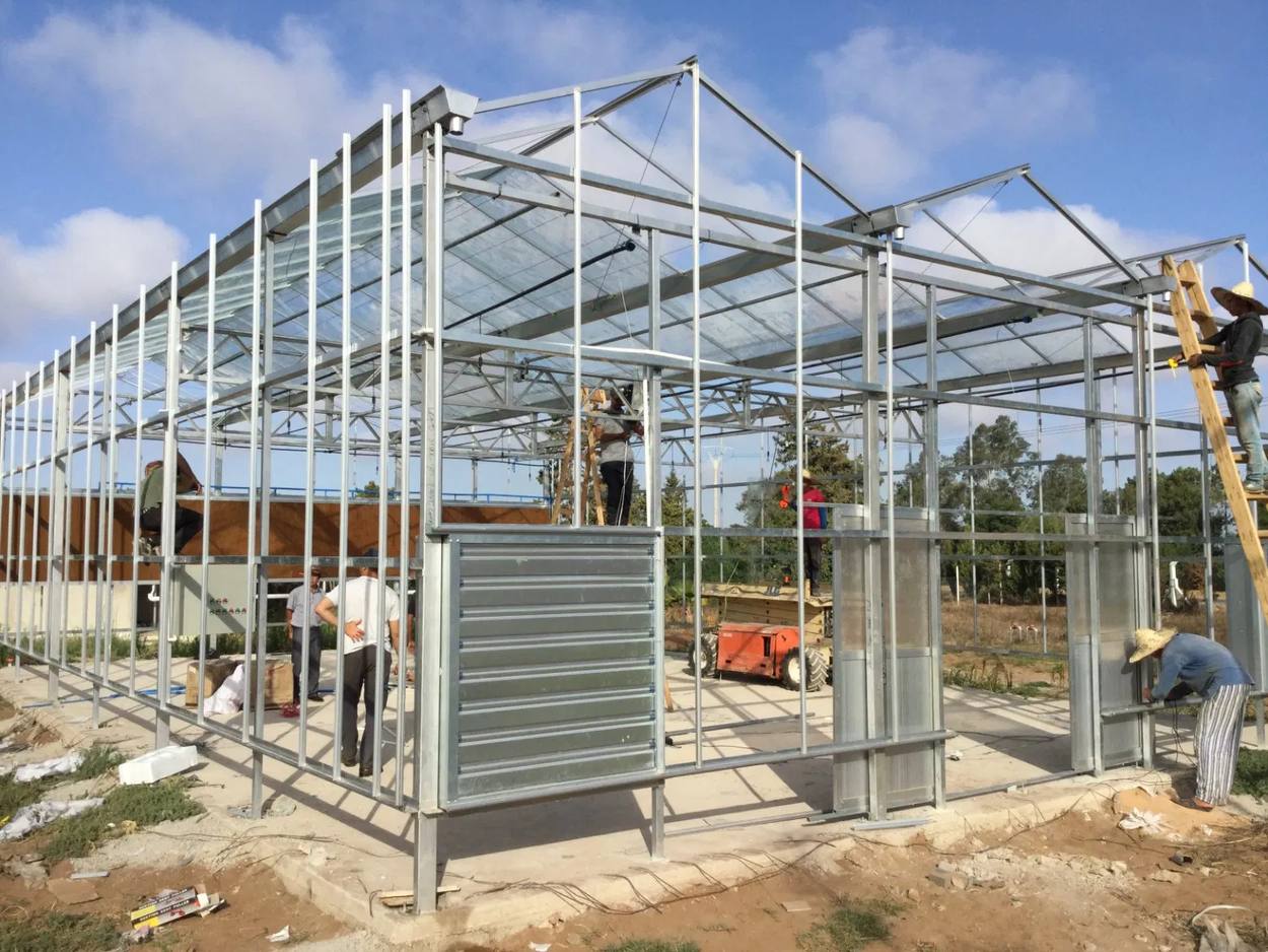 Galvanized frame of a multi span greenhouse being raised with a work platform