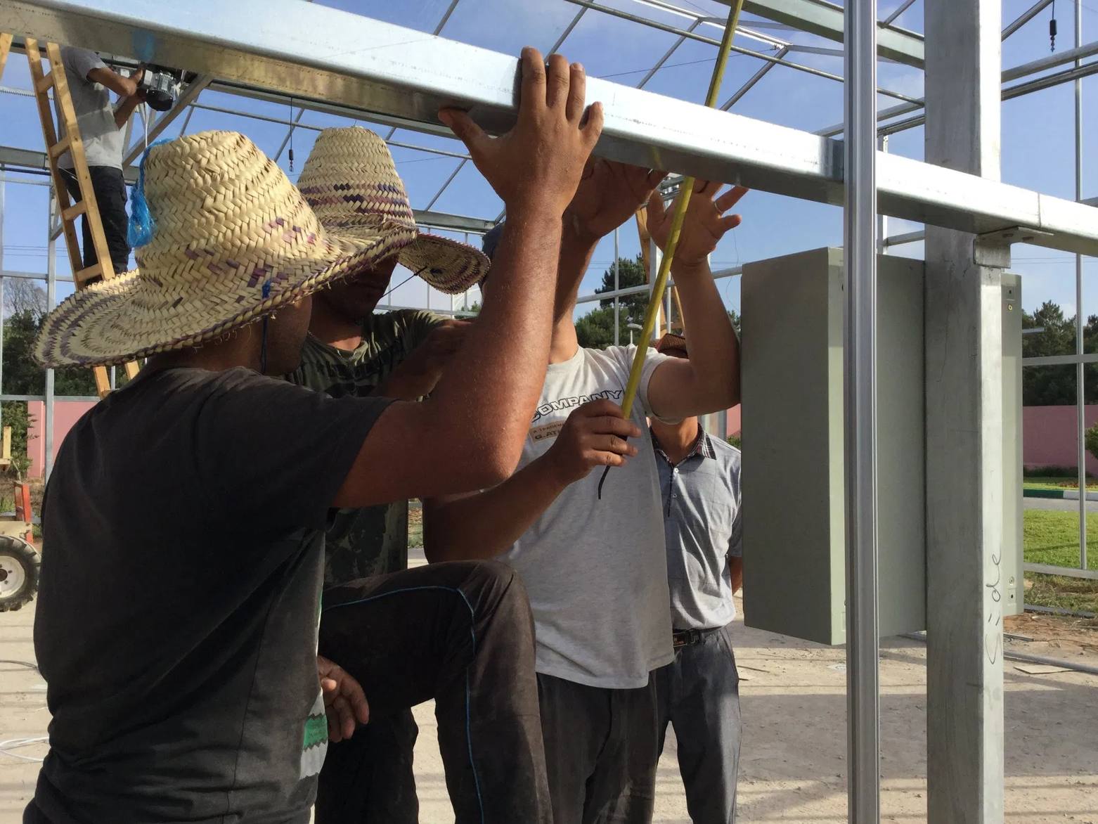 Workers installing glass panels on a multi span Venlo greenhouse frame