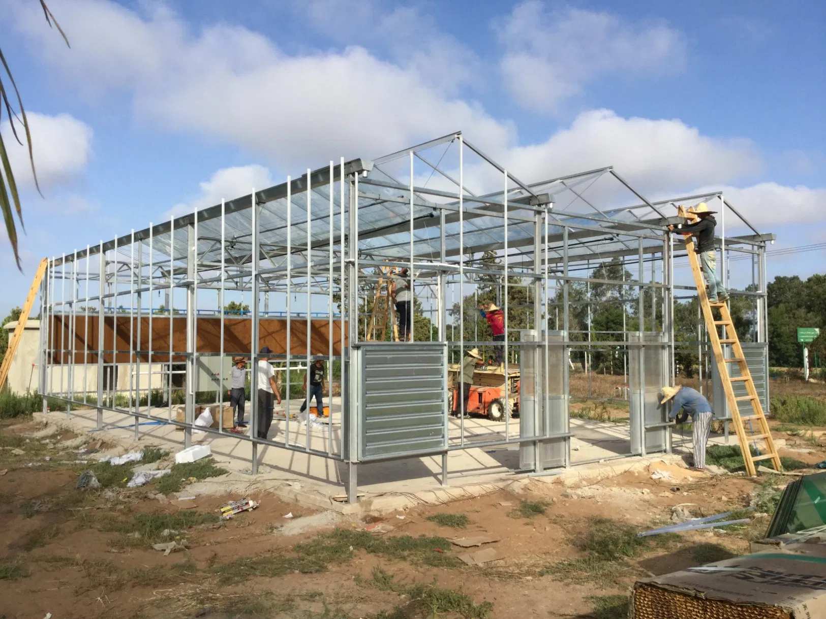 Multi Span Venlo Glass Greenhouse with Hydroponic Gutters and Irrigation