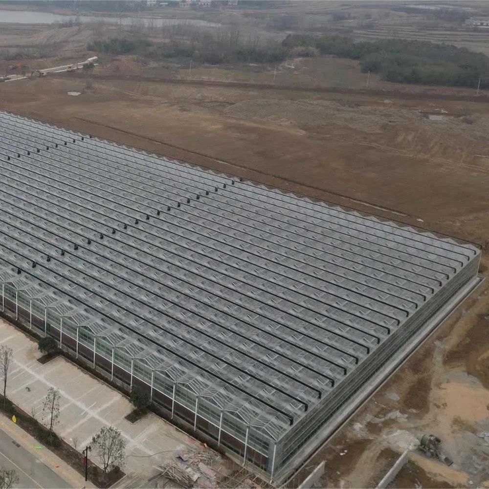 Roof of a large multi span polycarbonate greenhouse seen from above