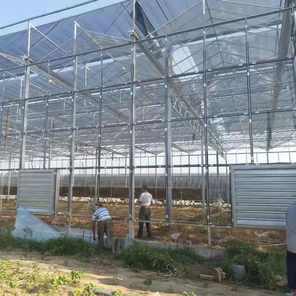 Commercial Multi Span PC Panel Greenhouse with UV Resistant Sheets