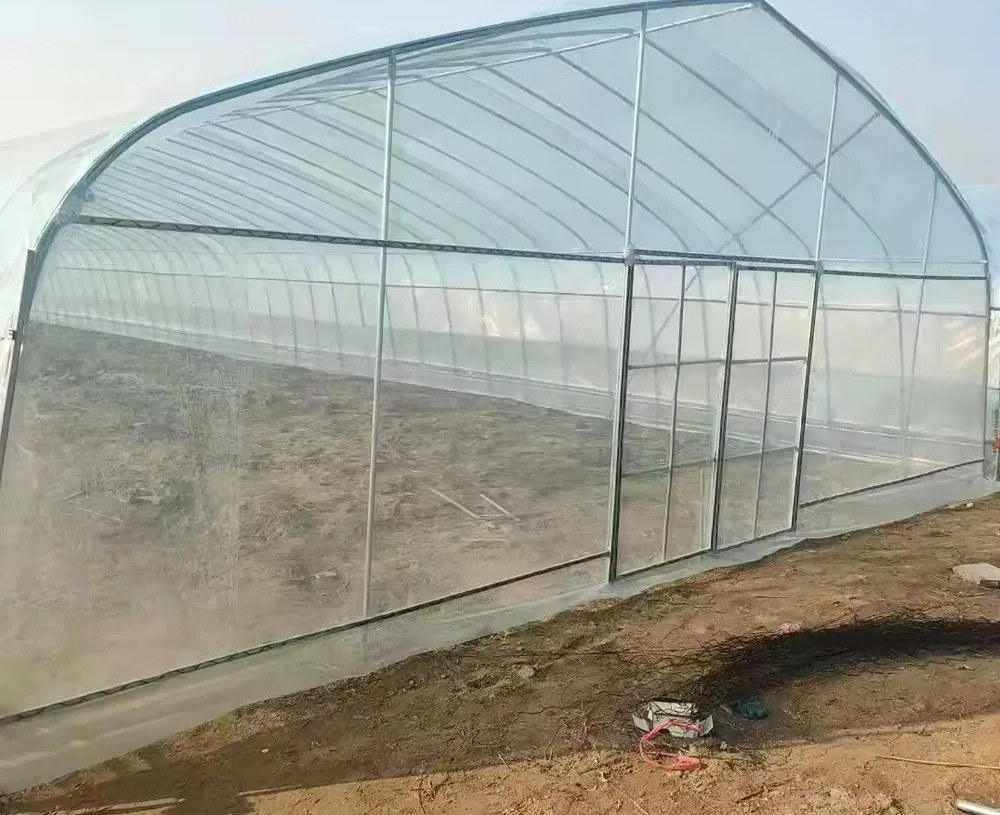Single Span Polytunnel Complete Set with PE Film Cover and Ventilation Fans