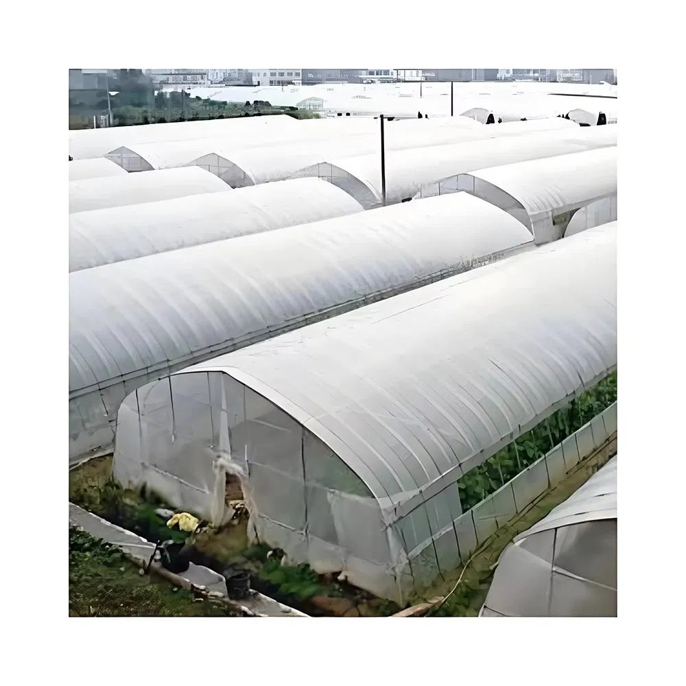 Rows of poly tunnels seen from above with workers on the site