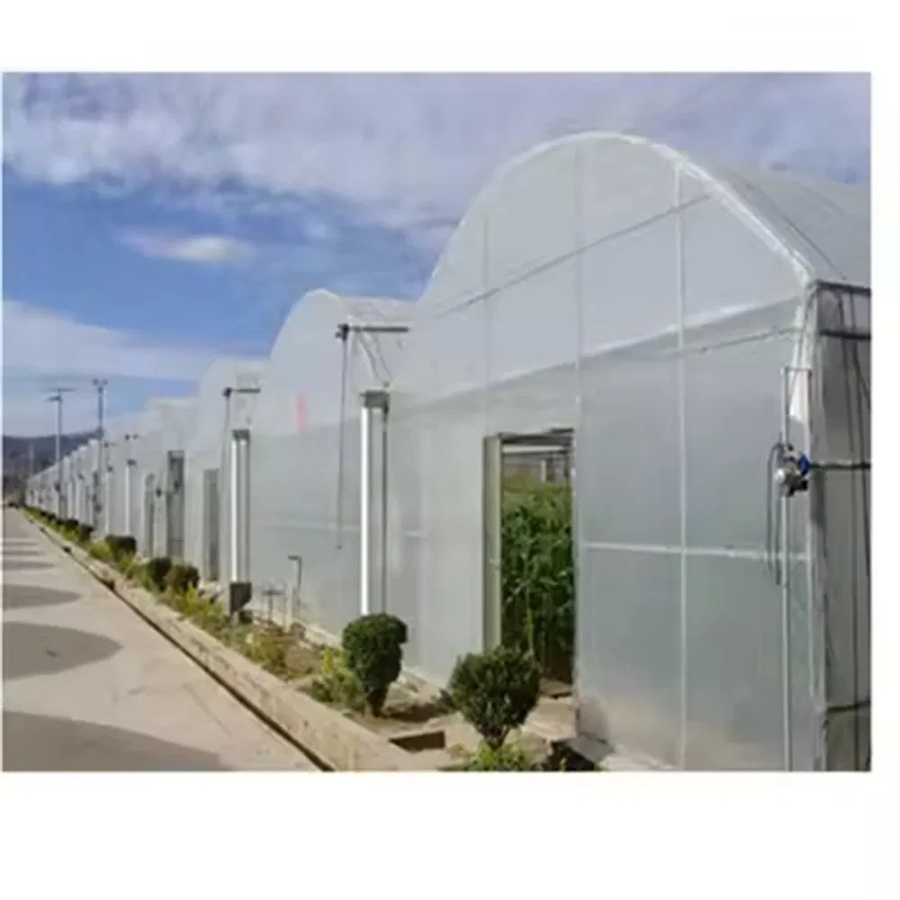 Front view of walk-in tunnel greenhouses with end walls and sliding doors