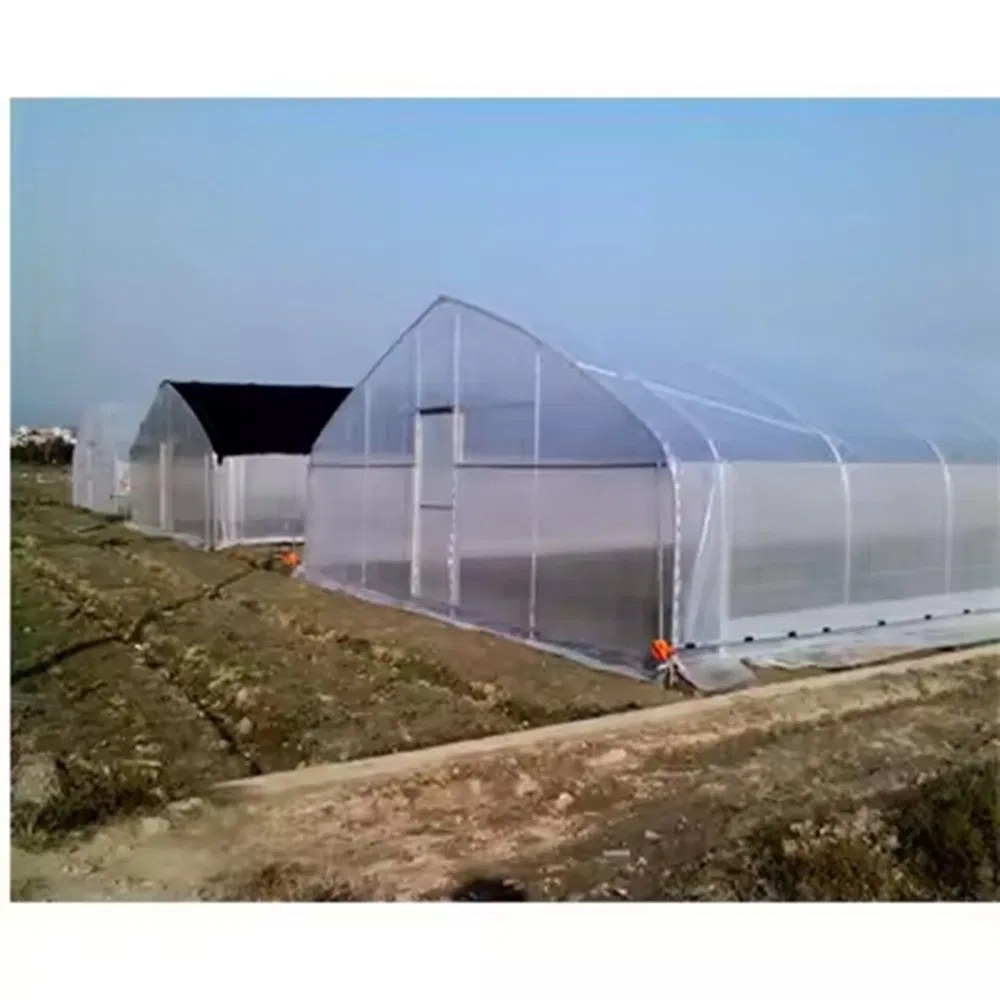 A single walk-in high tunnel standing beside a smaller covered structure