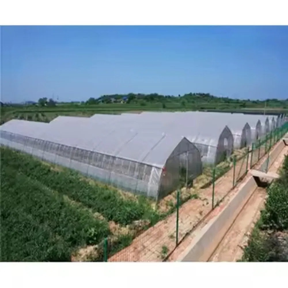 Walk-In High Tunnel Polytunnel for Heat Preservation and Rain Protection