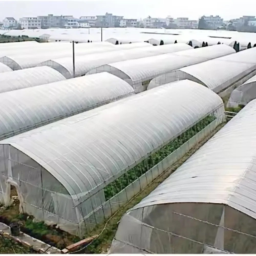 Rows of polytunnels on a farm with buildings in the distance