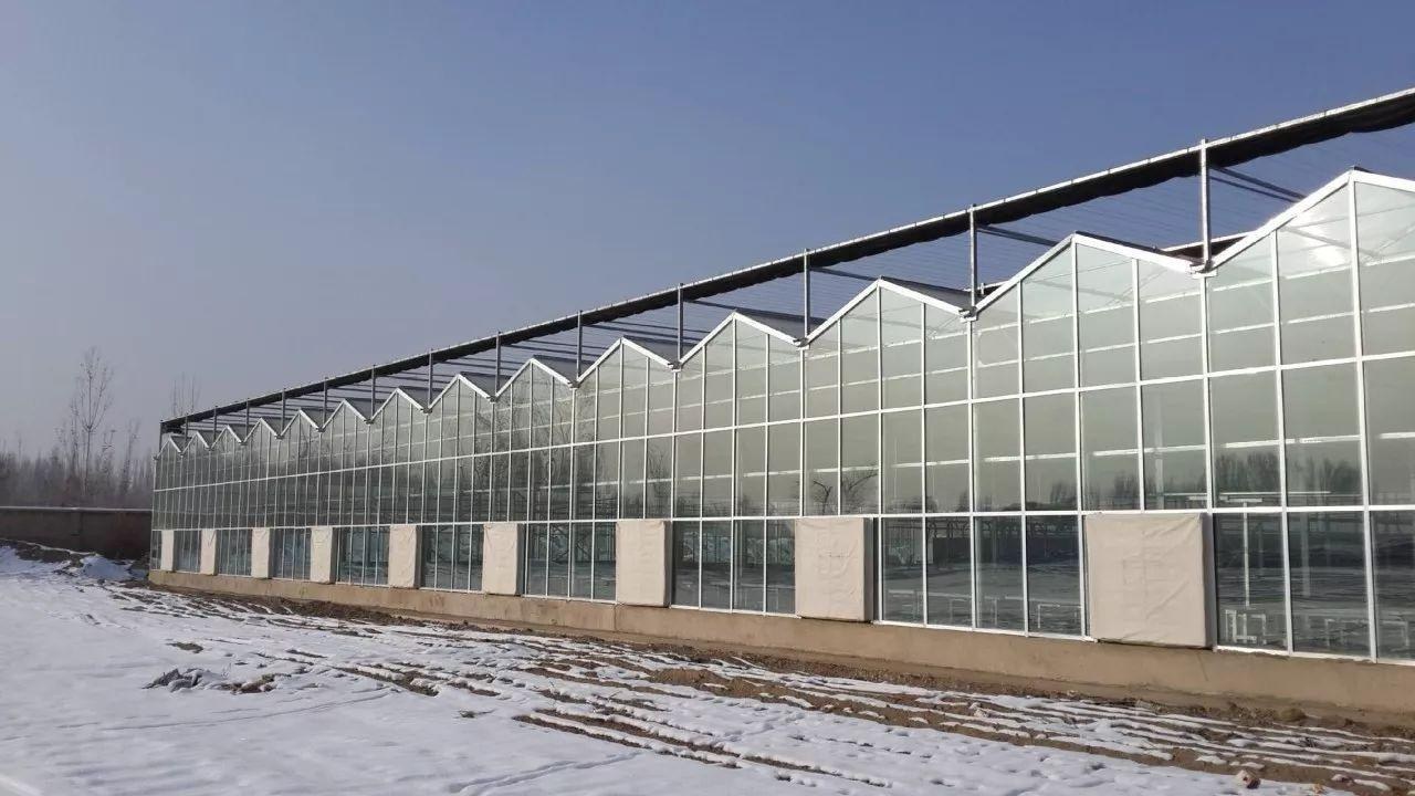 Multi span glass greenhouse in snow, seen from the side