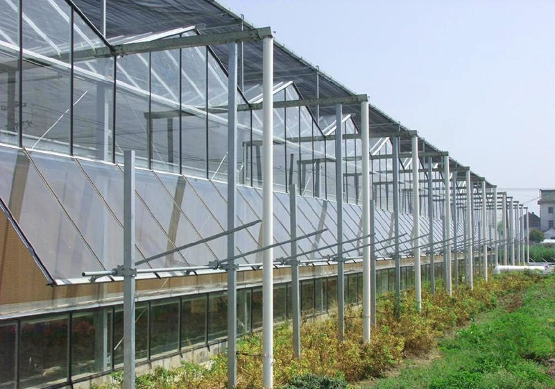 Side wall of a multi span glass greenhouse with vent panels open