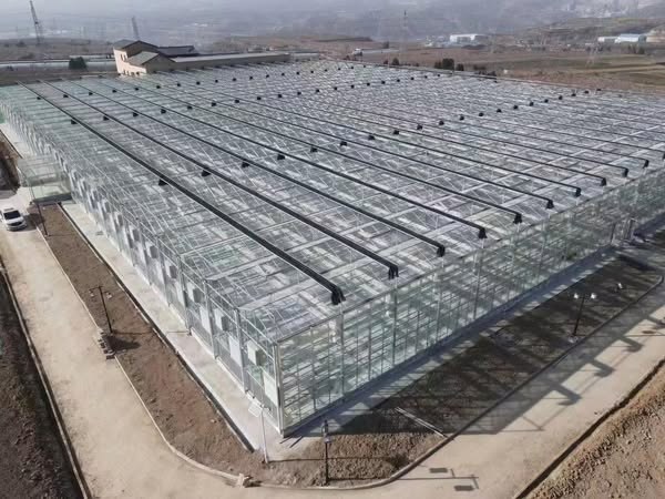 Glass greenhouse range seen from outside on a farm