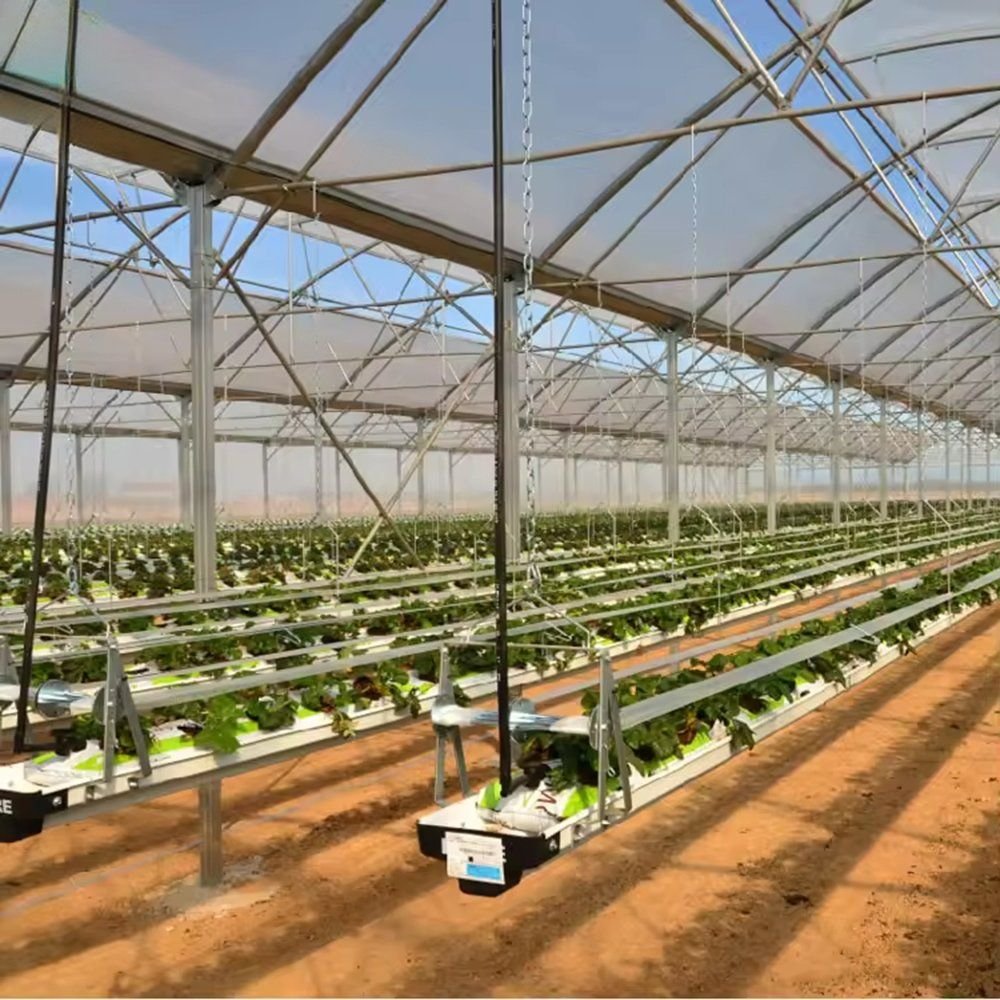 Close view of hydroponic channels inside a greenhouse tunnel