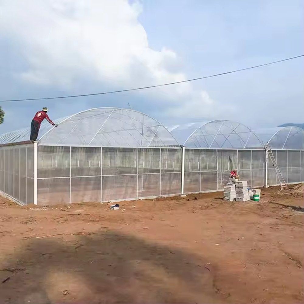 Workers assembling a film greenhouse on site