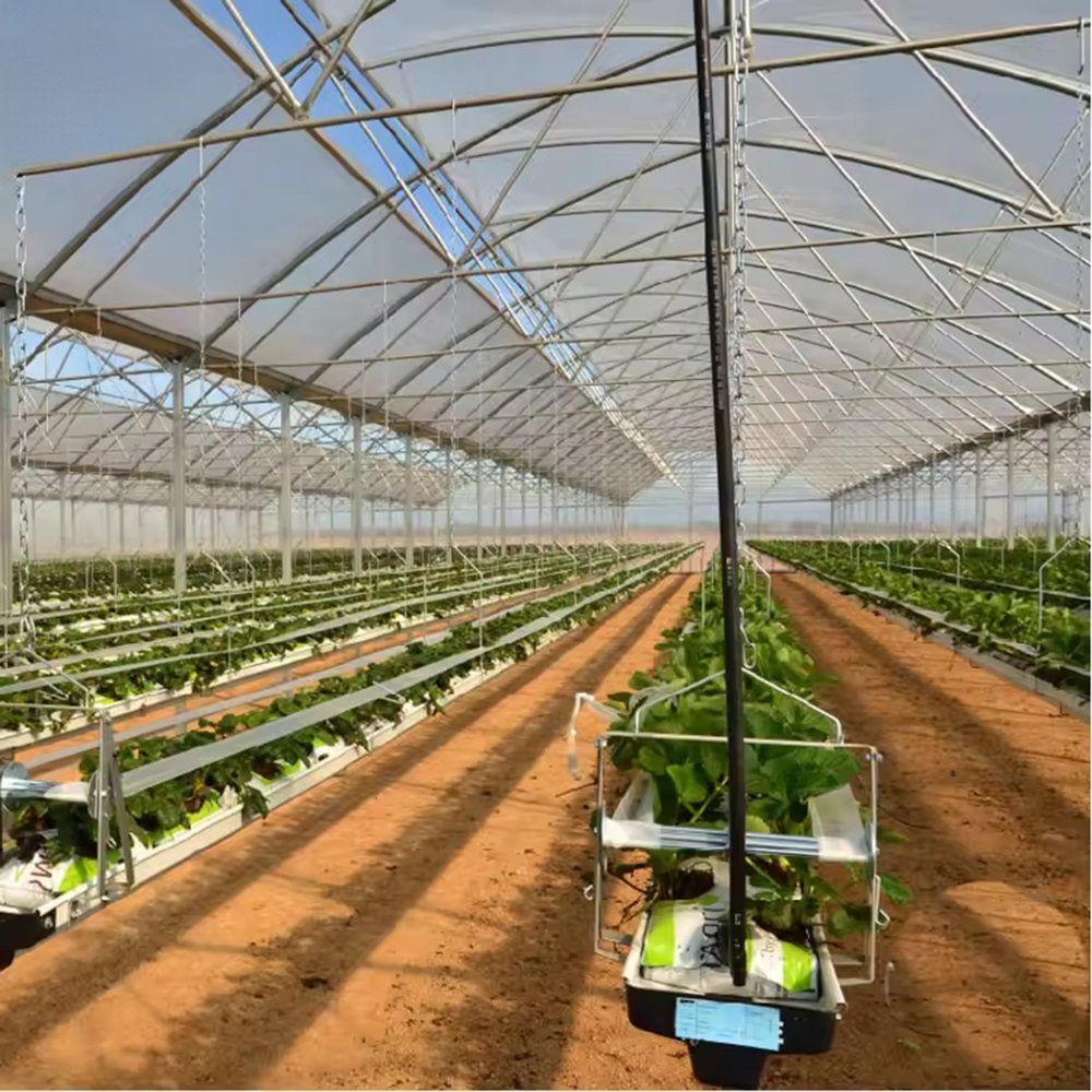 Hydroponic growing channels inside a film tunnel greenhouse
