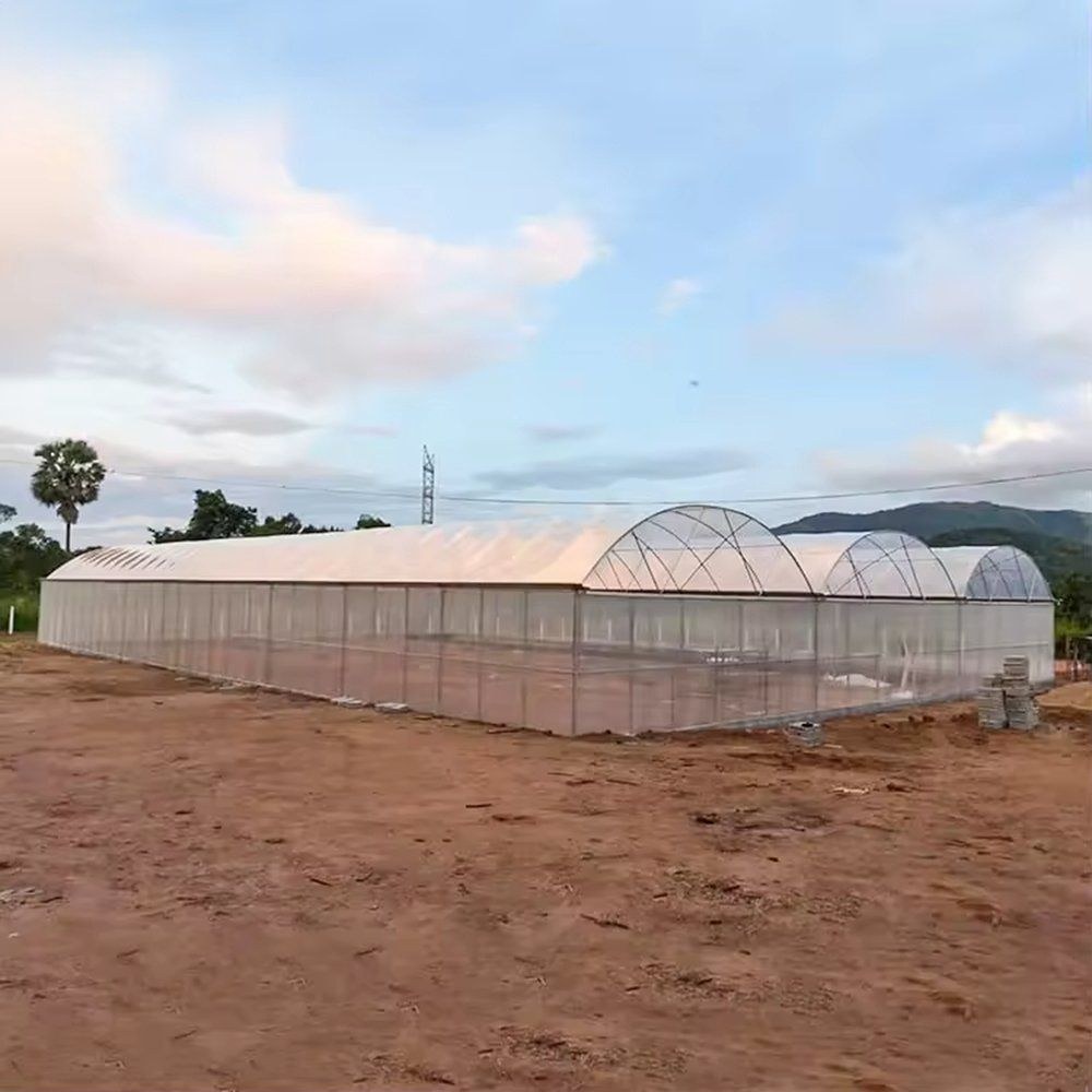 UV Resistant Film Hydroponics Greenhouse Tunnel for Vegetables