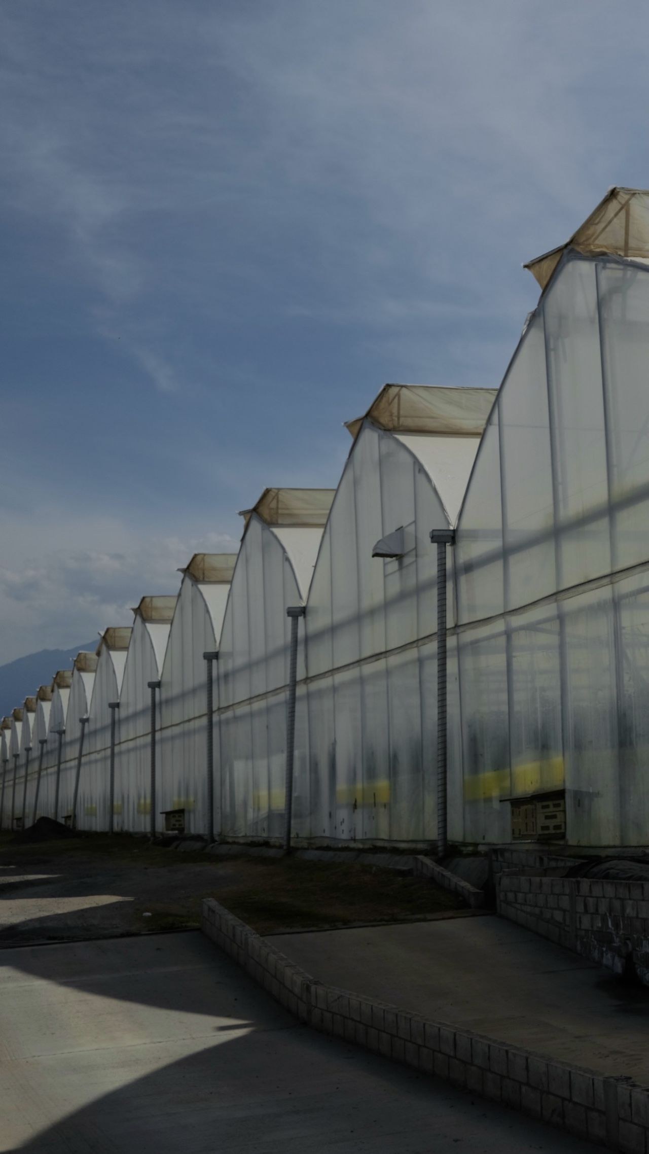 Multi span high tunnel greenhouse seen along its length