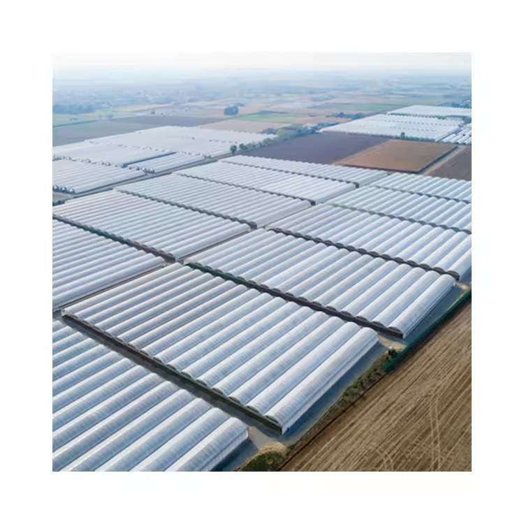 Aerial view of a large multi span film greenhouse site