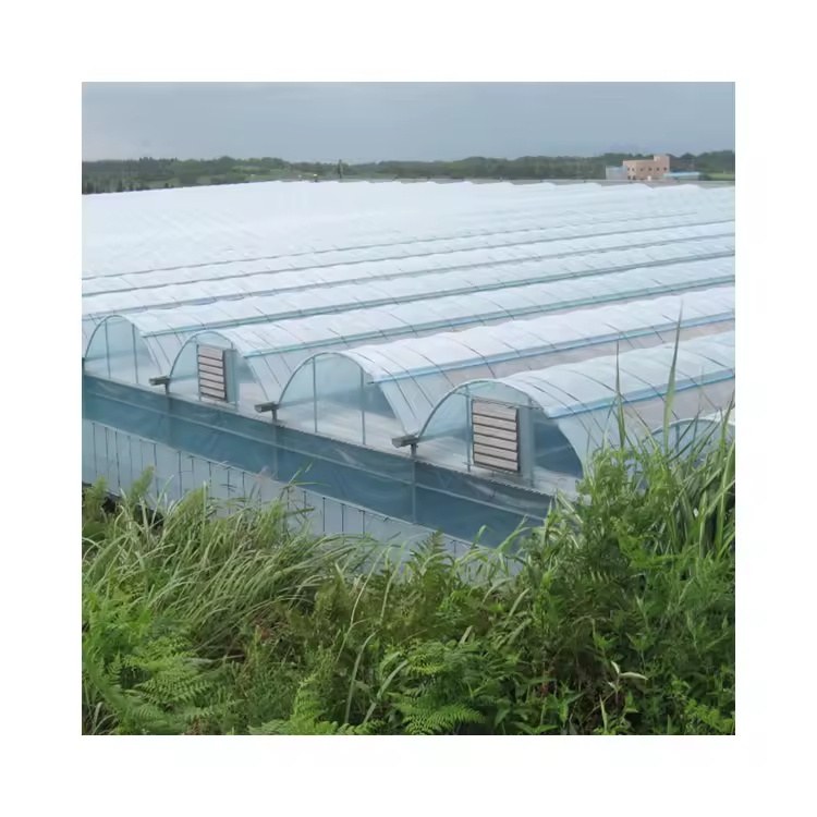 Wide view of a multi span film greenhouse site in open country