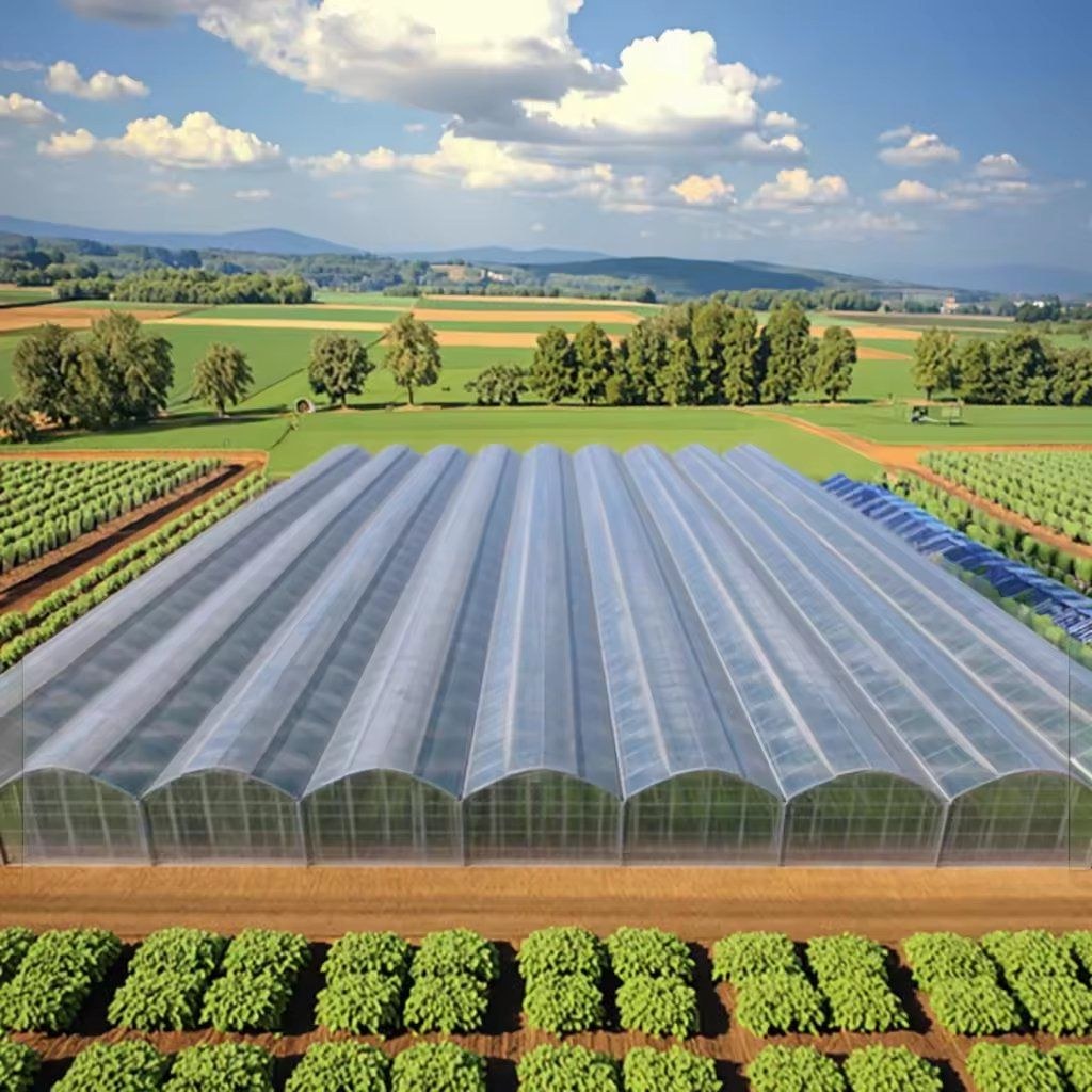 Rows of large multi span film greenhouses on a commercial site