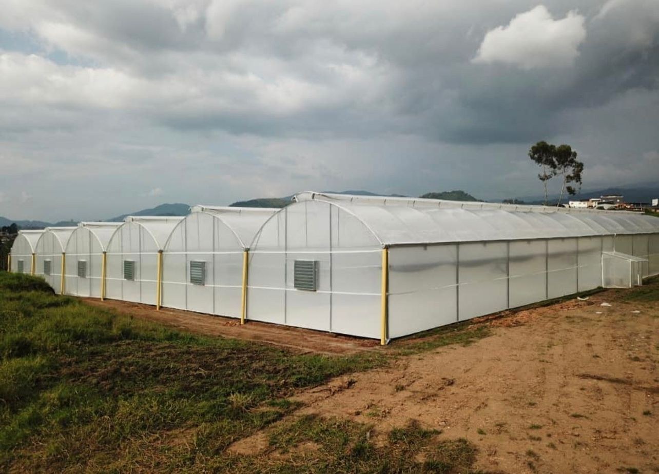 Multi span arch roof film greenhouse seen from outside