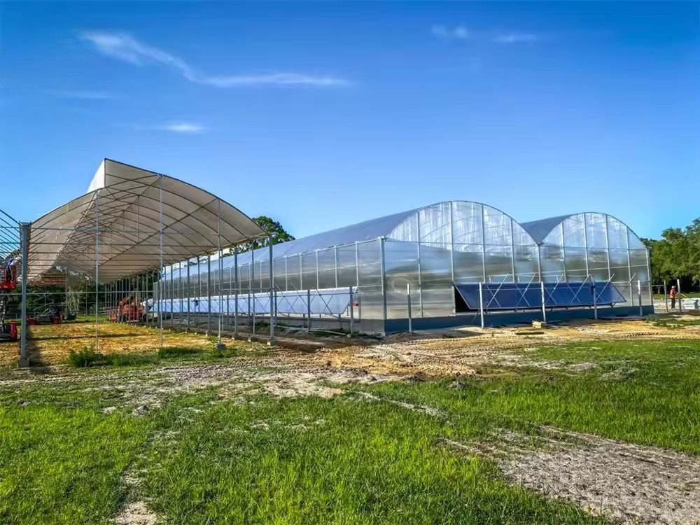 Steel frame of a large greenhouse under construction