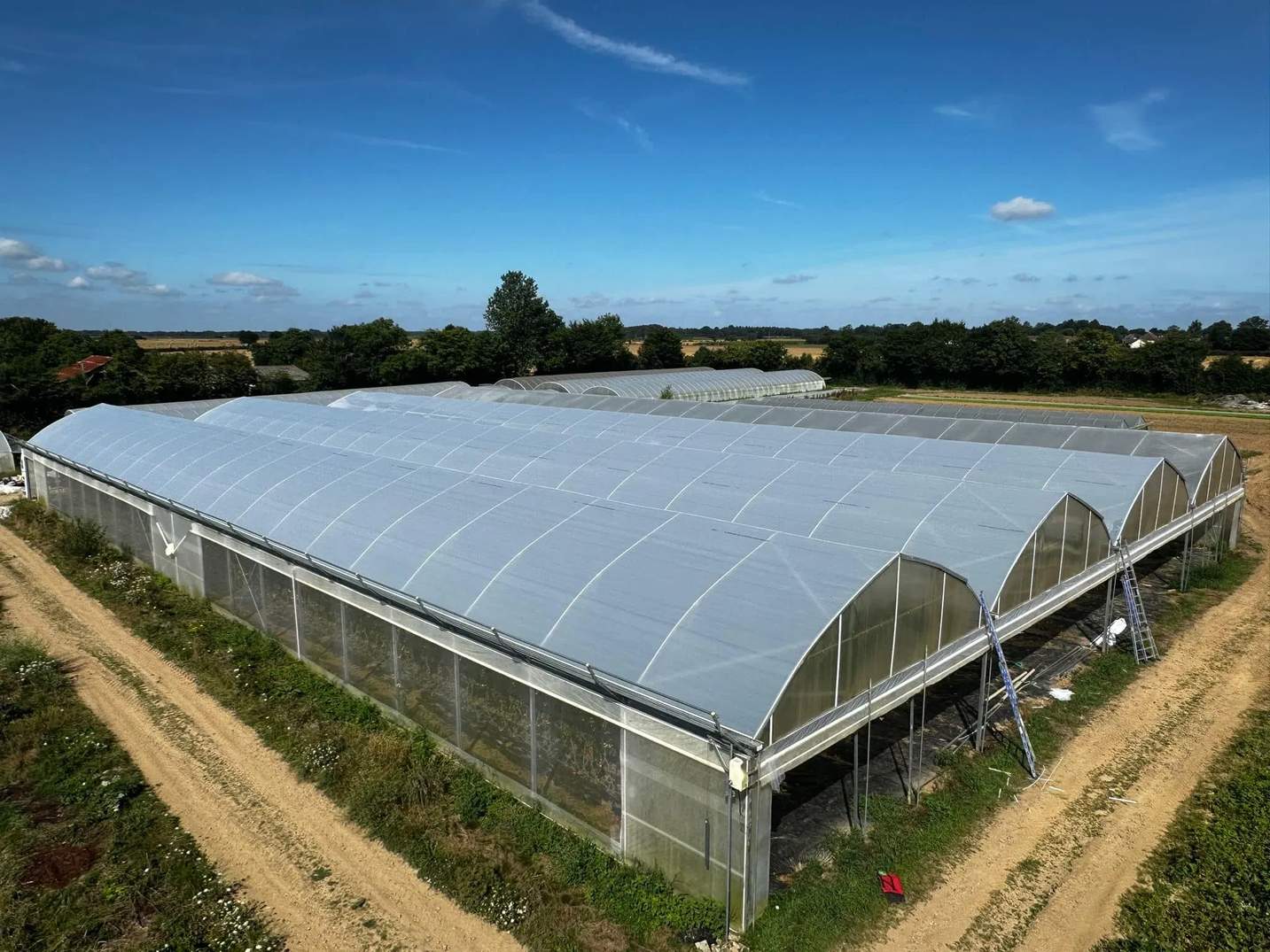 Aerial view of a multi span greenhouse range