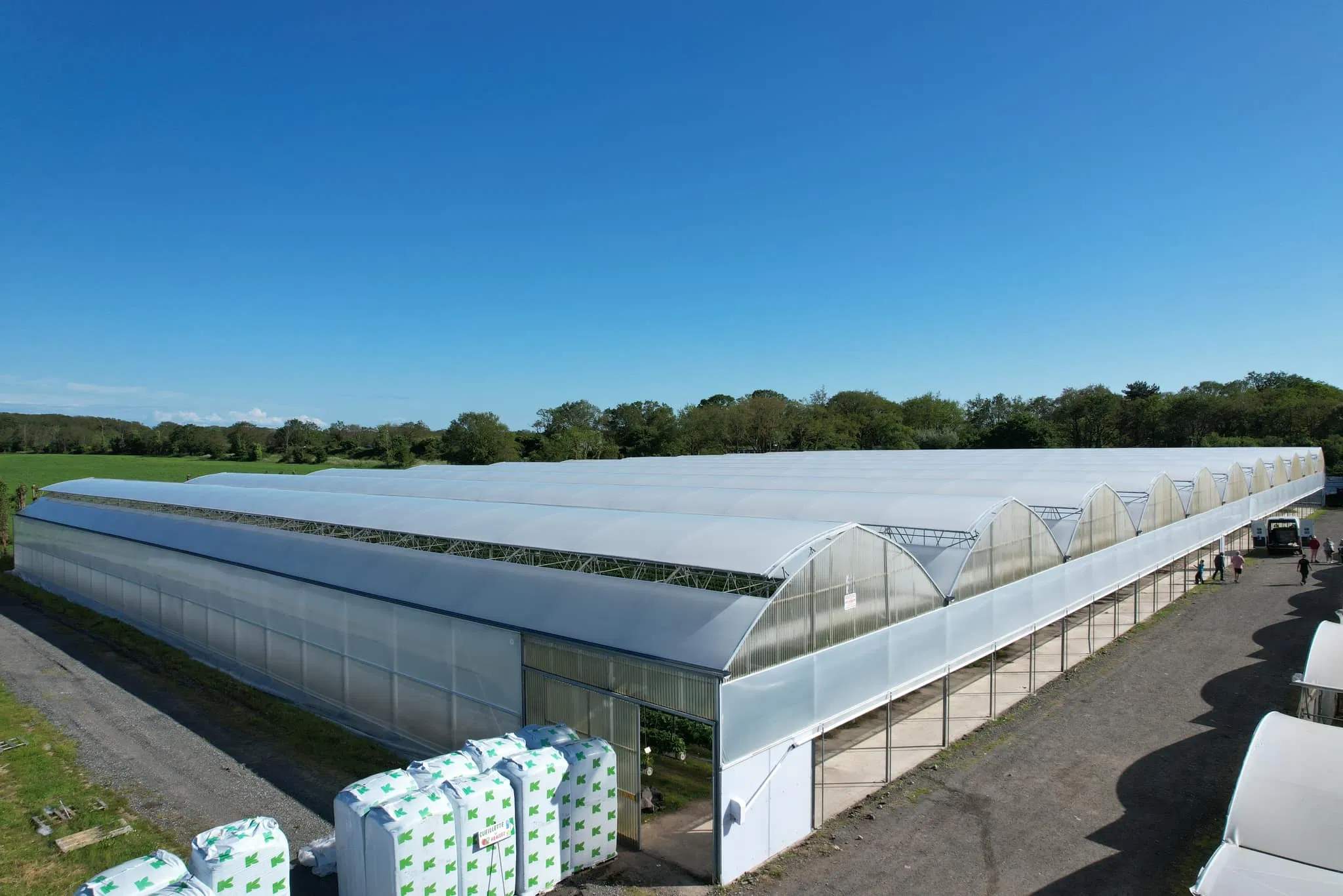 Rows of multi span film greenhouses seen across a field