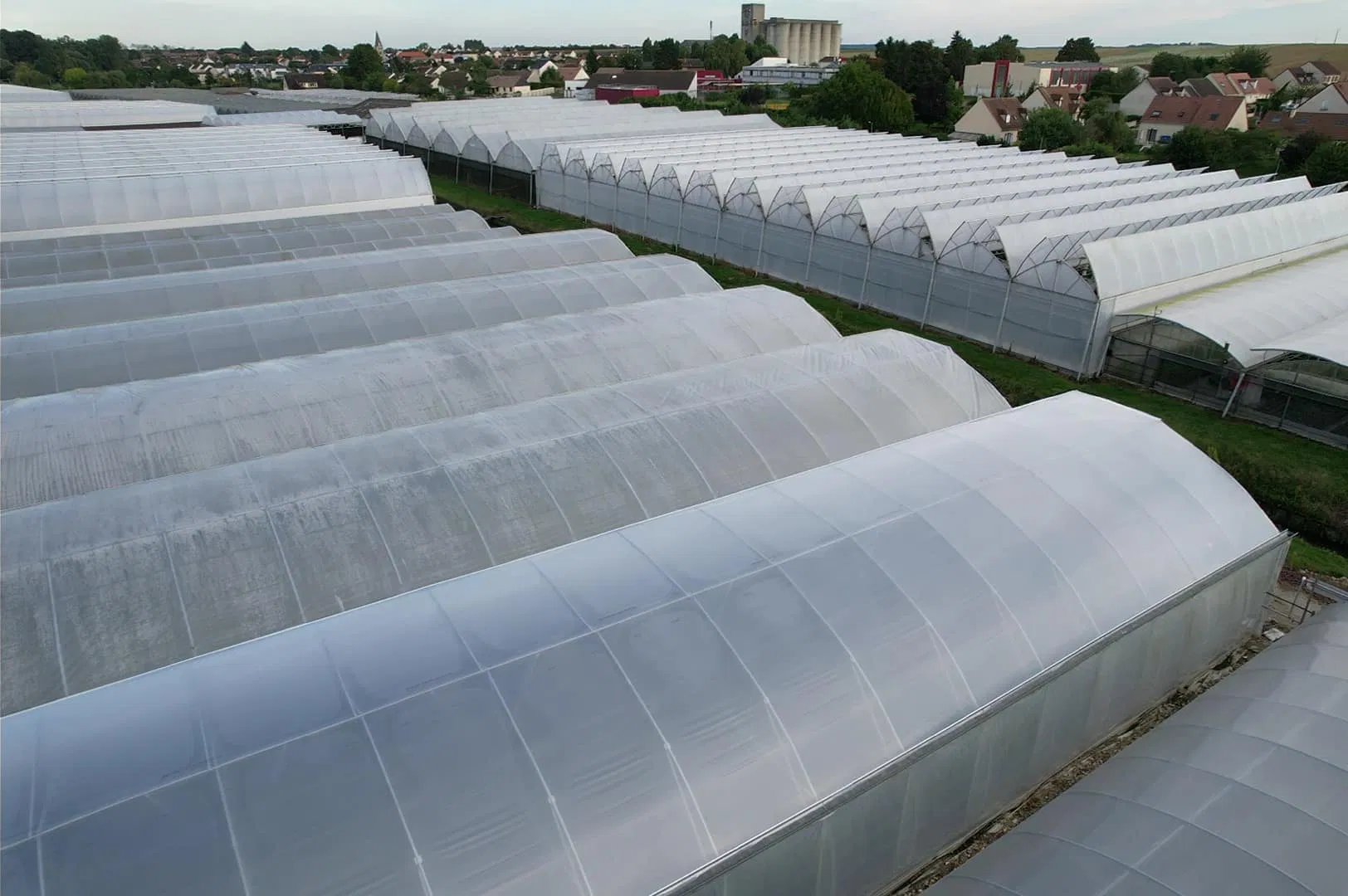 Interior of a multi span greenhouse under a translucent roof